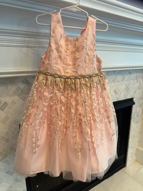 American Princess Pink Dress with Gold Embroidered Waist